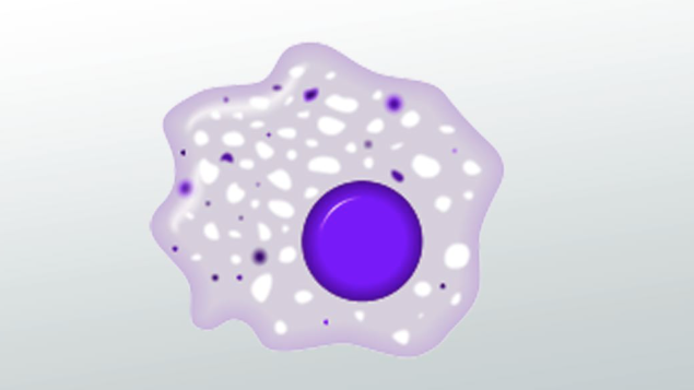 1789375830103945.png 6401.png